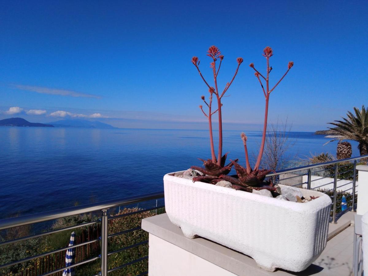 La Rosa Dei Venti Piombino